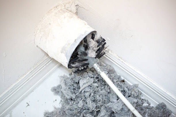 Air Duct Mold Removal in Olathe, CO